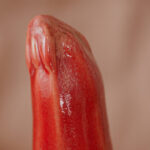 Gode courgette Rouge