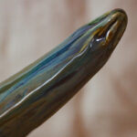 Gode courgette Cobalt