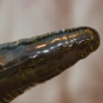 Dildo large radis