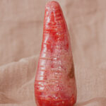 Gode extra large Radis Rouge