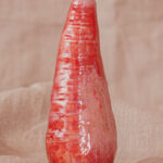 Gode extra large Radis Rouge