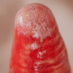Gode extra large Radis Rouge