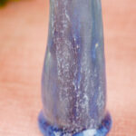 petit sex toy