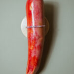 gode courgette rouge