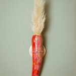 gode courgette rouge