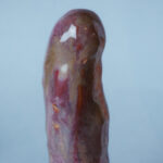 Gode légume Carotte
