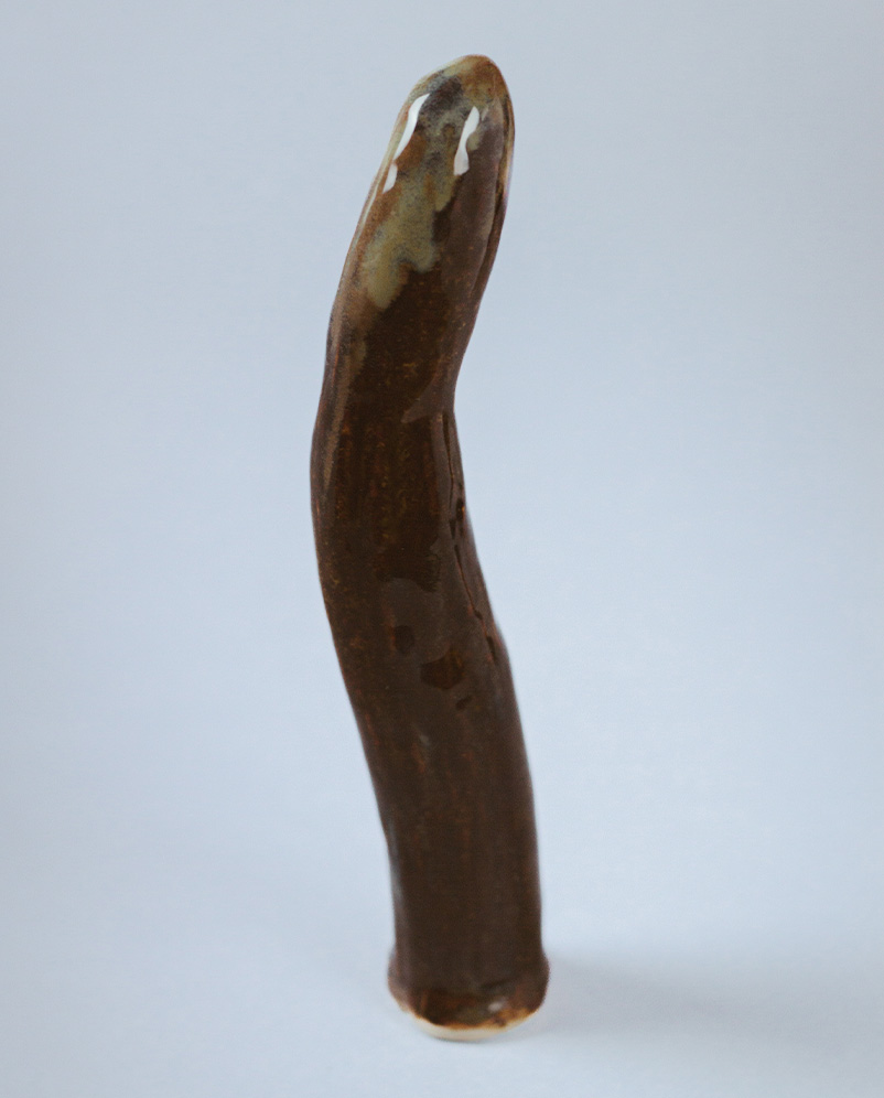 Sextoy bio concombre
