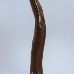 Sextoy bio concombre